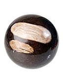 Versteend hout edelsteen bollen