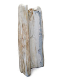 Versteend hout pilaar, Indonesië, nr. 15