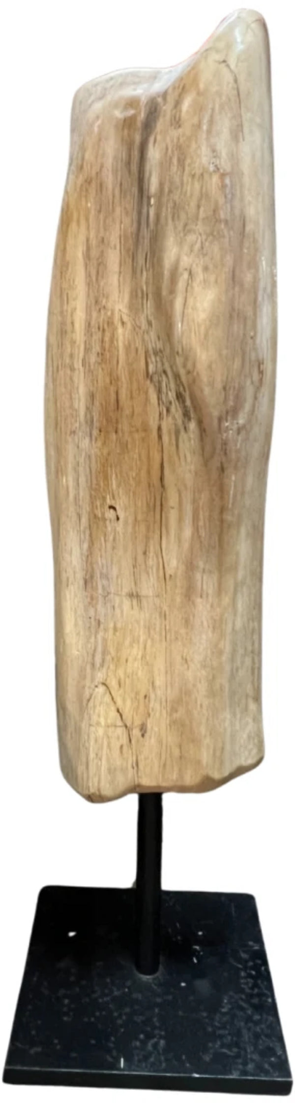 Versteend hout sculptuur op voet nr.5303