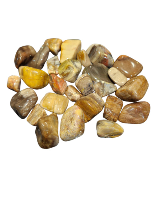 Versteend hout trommelstenen 250 gr. (mt3)