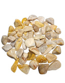 Versteend hout trommelstenen 500 gr. (mt3)