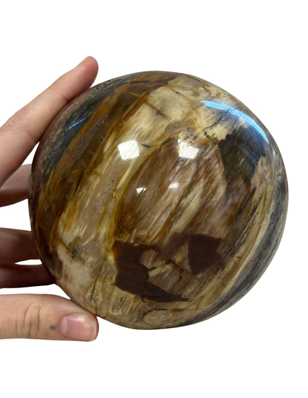 Versteend hout bol Madagaskar 2248 gram edelsteen decoratie