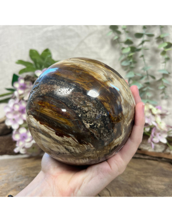 Versteend hout bol Madagaskar 2248 gram edelsteen decoratie