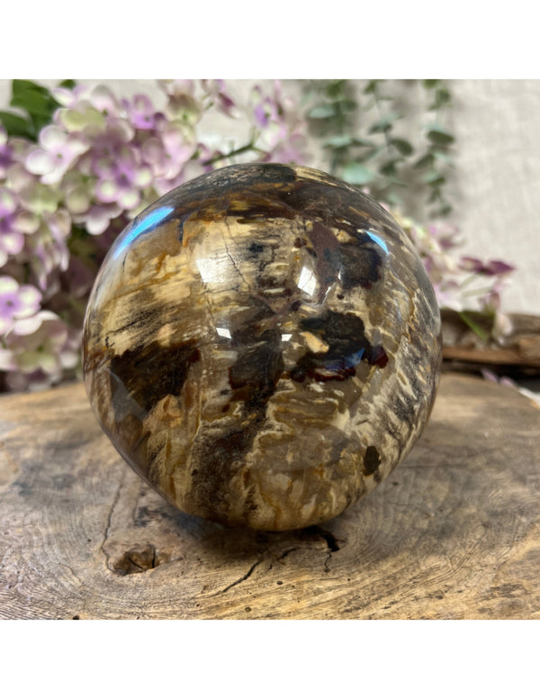 Versteend hout bol Madagaskar 2248 gram edelsteen decoratie