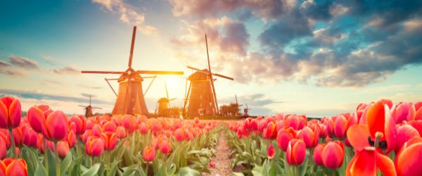 Nederland