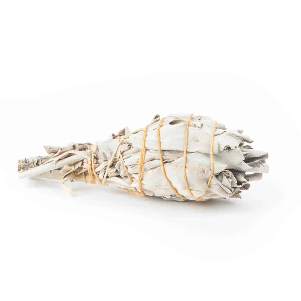 Witte Salie Smudge Stick (10 cm)