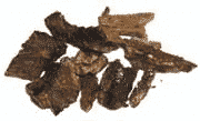 Wierookkruid Sarsaparilla