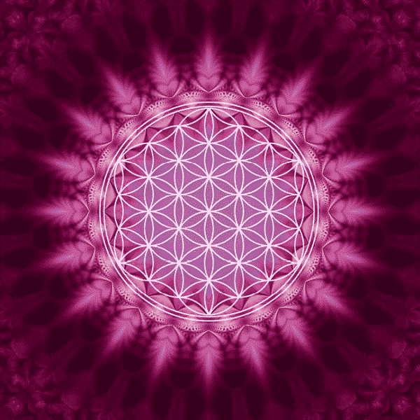 Wenskaart Flower of Life