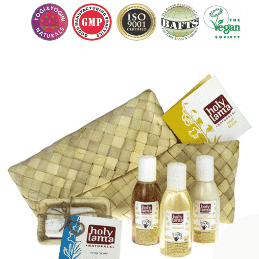 Holy Lama Naturals Ayurvedische Travel Kit &apos;Hair Boon&apos;