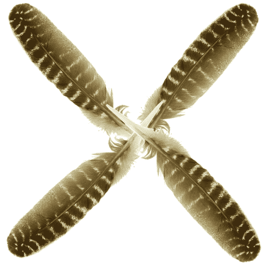Kalkoenveer Bronskleurig