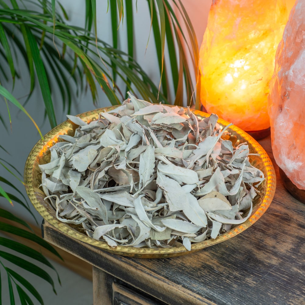 witte salie blaadjes op schaal
