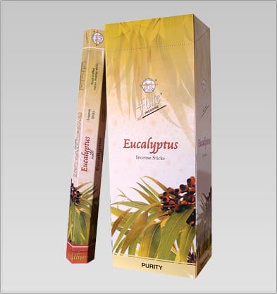Flute Wierook Eucalyptus (6 pakjes)