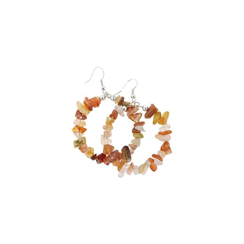 Oorbellen Carneool Ring