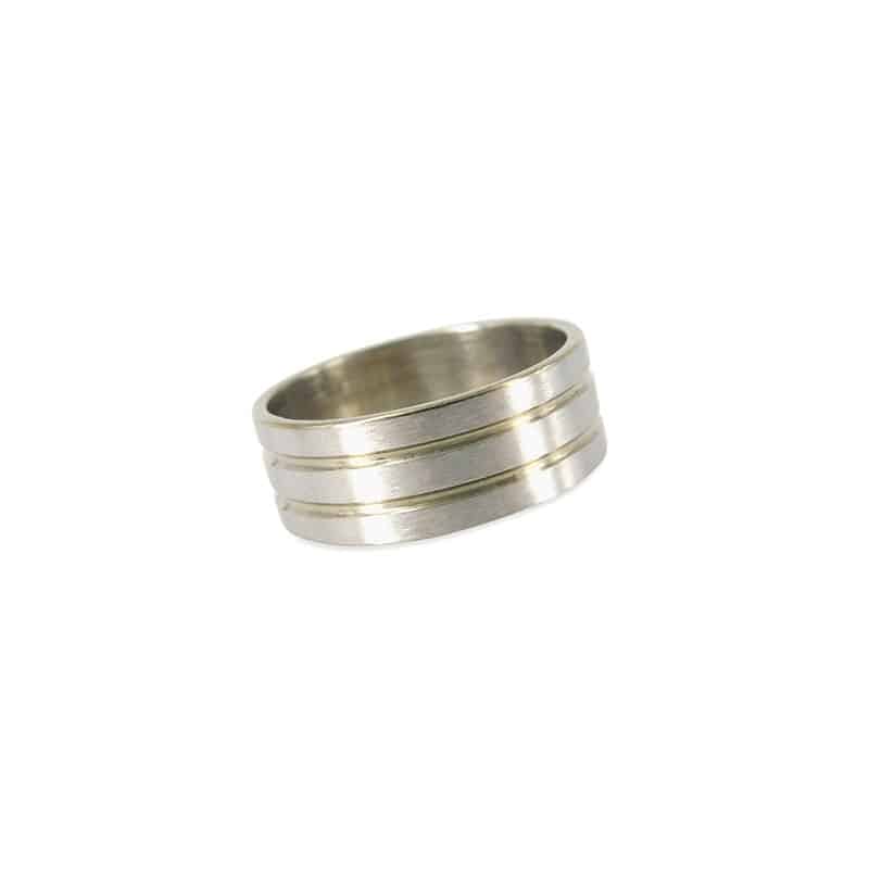 Roestvrij Stalen Ring (Maat 21,75)