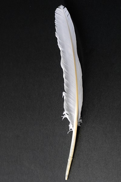 Smudge Veer - Wit (35 cm)