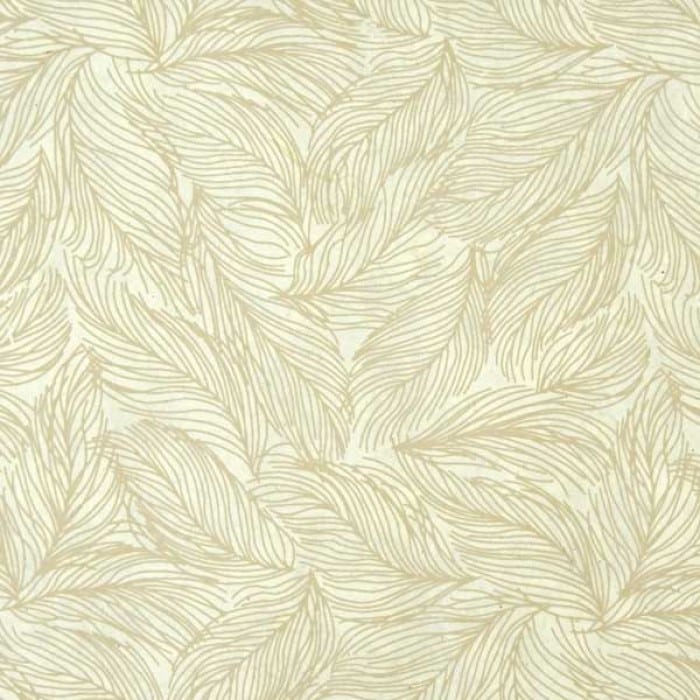 Verpakkingspapier Veren Wit