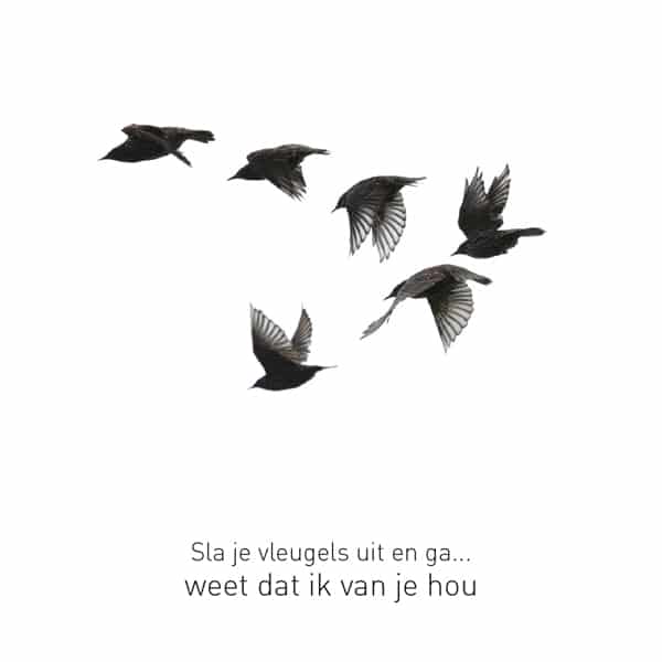 Wenskaart Relaties - Vogels in Lucht (Set van 6)