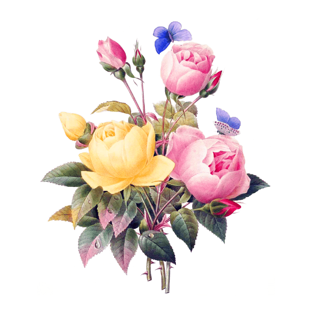 boeket bloemen met vlinders florida water