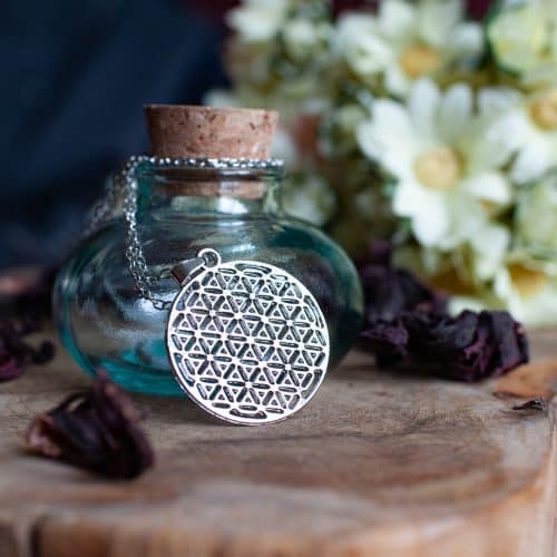 Levensbloem, Het Geheim en Gebruik van de Flower of Life