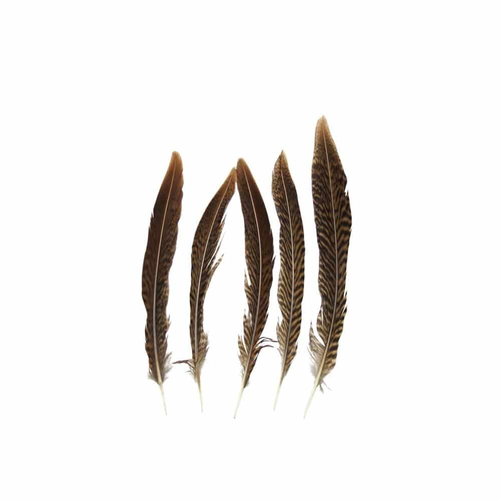 Goudkleurige Fazantenveren - 18 cm (Set van 5)