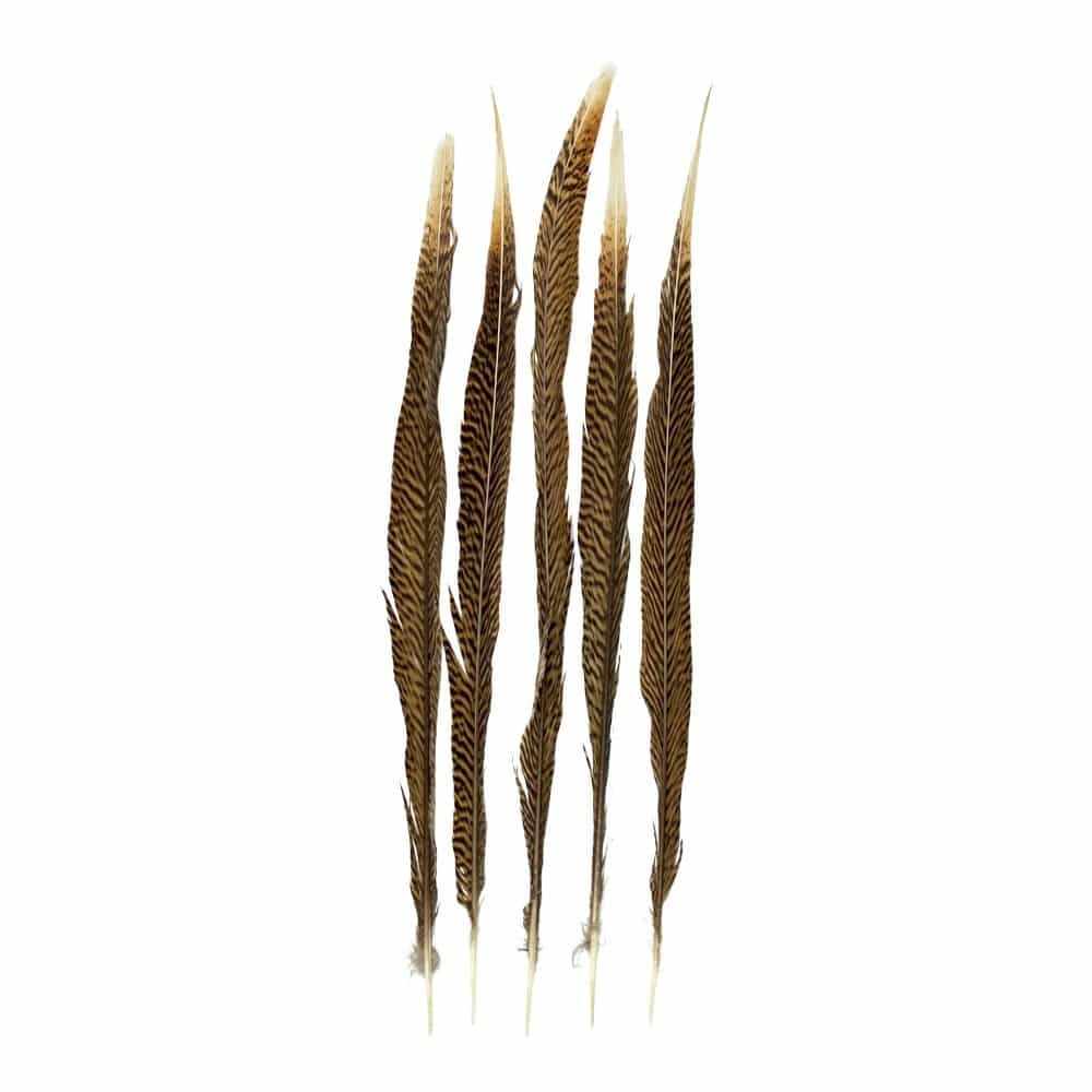 Goudkleurige Fazantenveren - 50 cm (Set van 5)