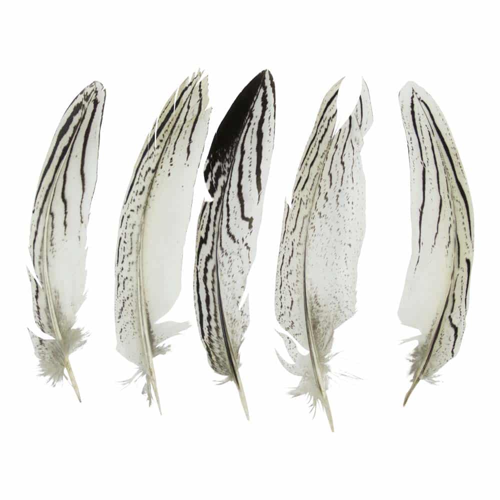 Zilverkleurige Fazantenveren - 13 cm (Set van 5)