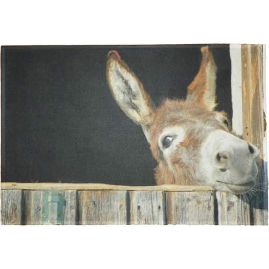 Deurmat - Binnenmat Ezel (75 x 50 cm)
