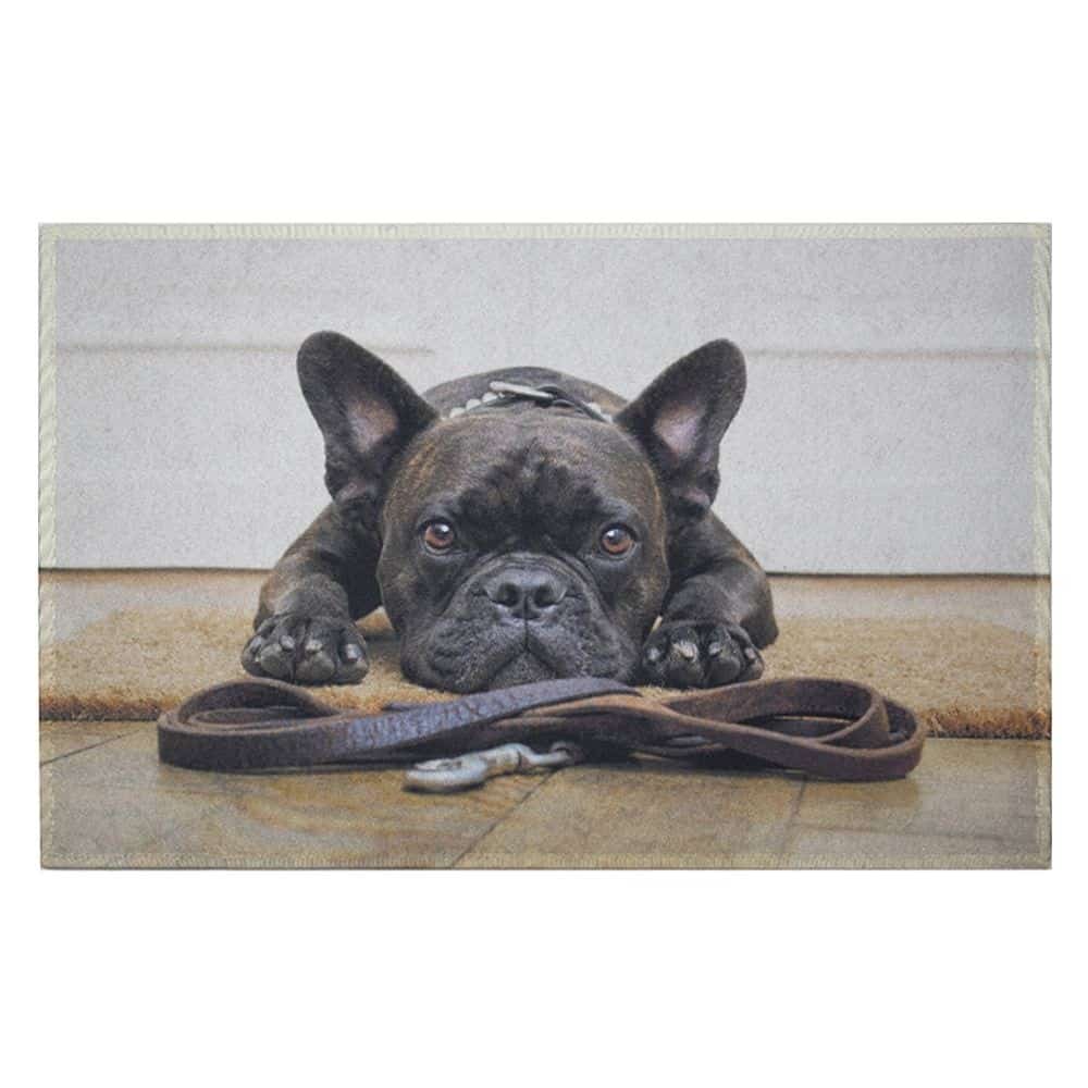 Deurmat Humor Franse Buldog (75 x 50 cm)