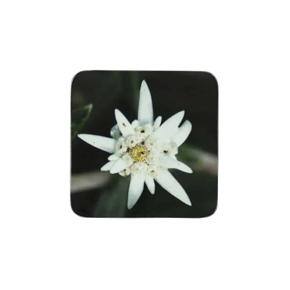 Onderzetters Edelweiss (Set van 6)