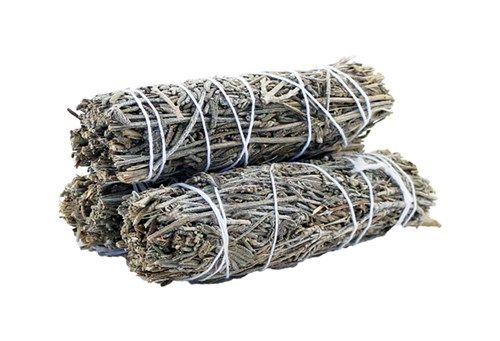 Lavendel Salie (10 cm)