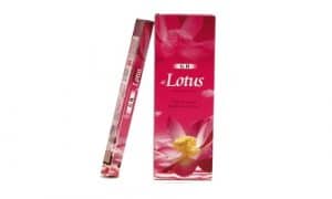 Lotus Wierook