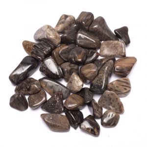 Palmhout Jaspis Trommelstenen AA Kwaliteit (± 250 gram - ± 2-3 cm)