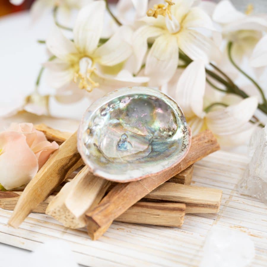 abalone schelp klein met palo santo