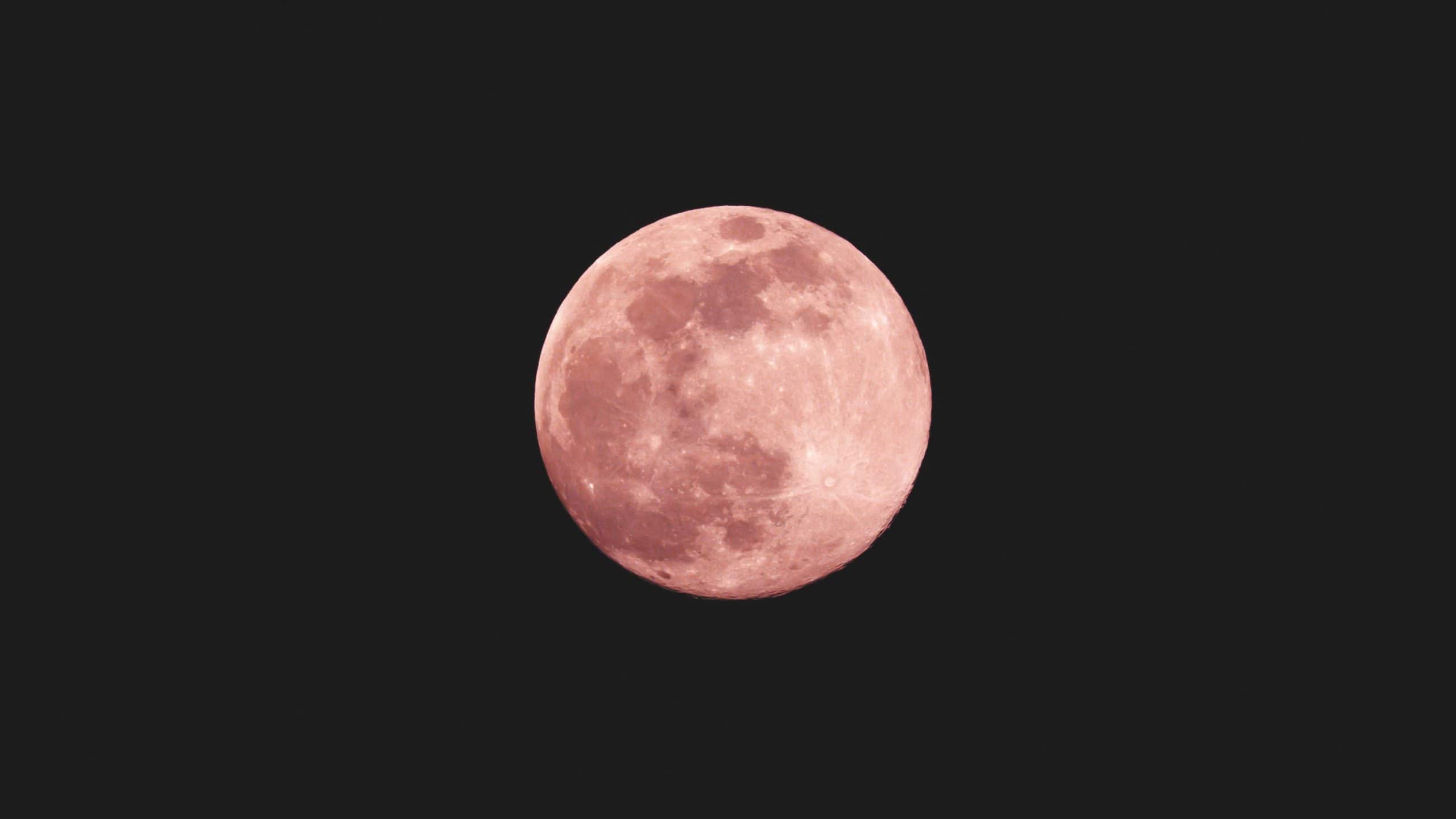 roze maan vol