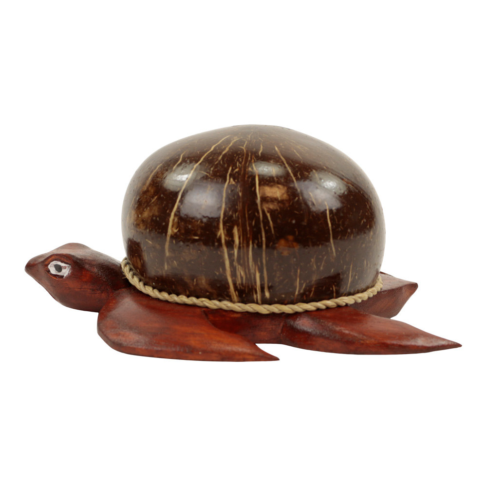 Spaarpot Schildpad Kokosnoot