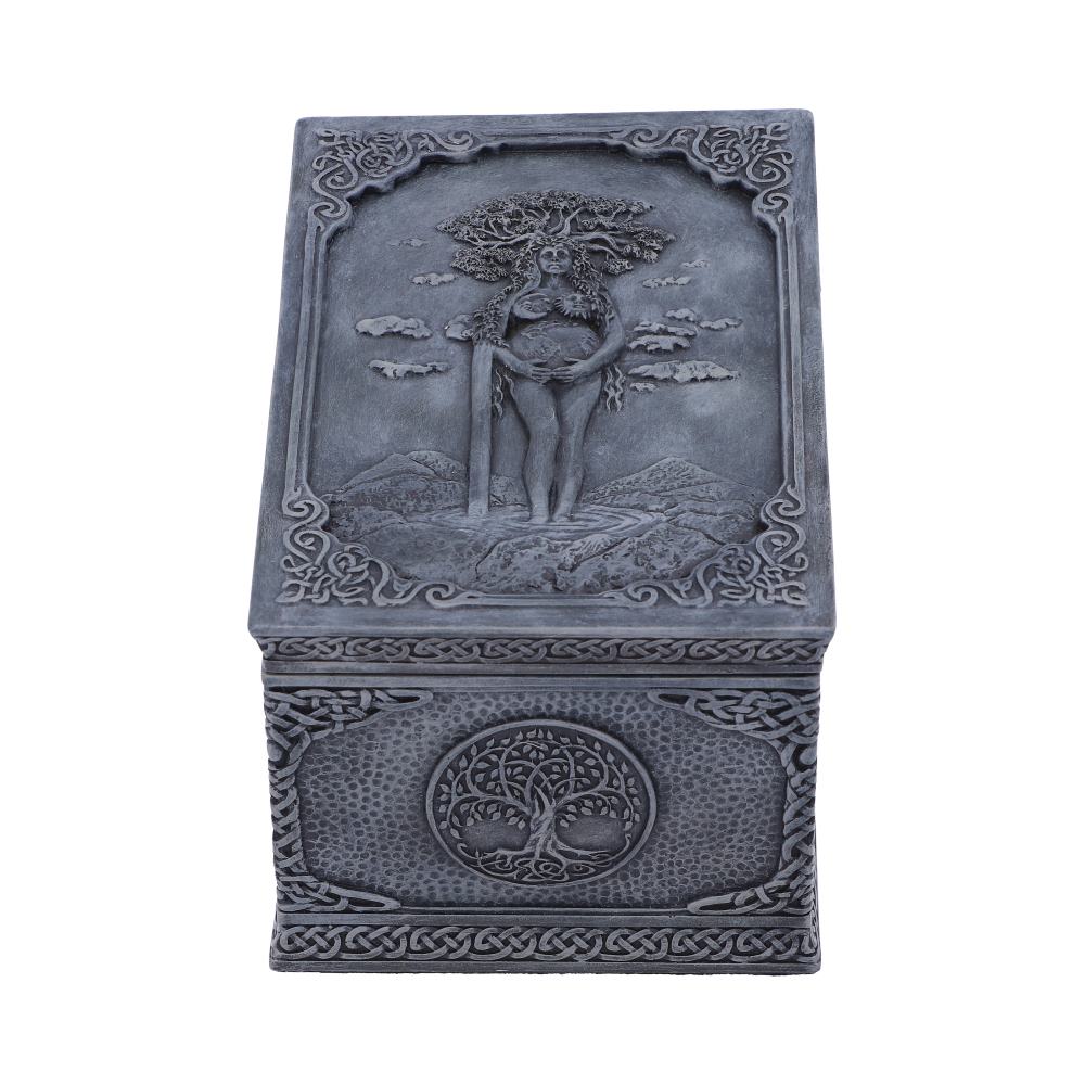 Nemesis Now Decoratieve opbergdoos Mother Earth Box 15.5cm Multicolours