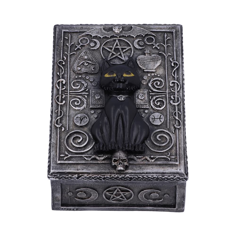 Nemesis Now - Familiar Spell Box 13.7cm