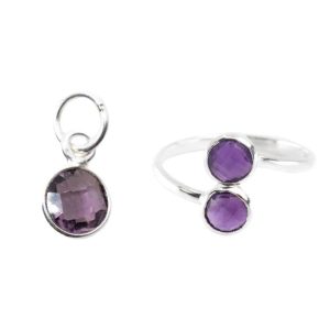 Geboortesteen Sieraden Set Februari (Zilverkleurig) - Bundel