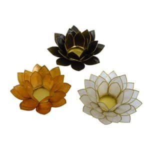 Lotus Sfeerlichten met Neutrale Kleuren Set - Bundel