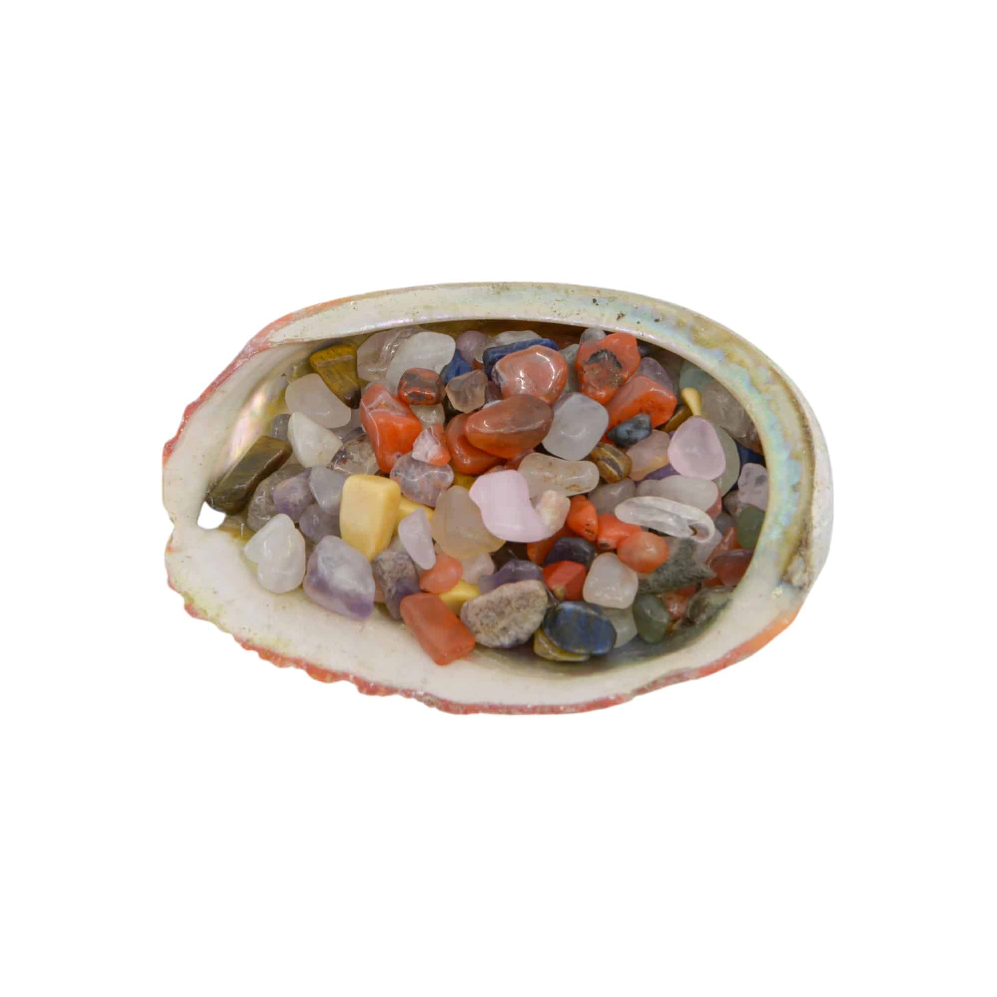 Abalone Schelp met Trommelstenen Verrassingsmix - Bundel